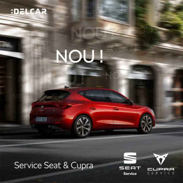 Service-Seat-Cupra-In-Brasov